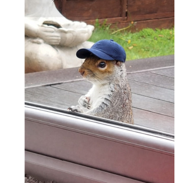 Photo for notice Jeremy BAILEY