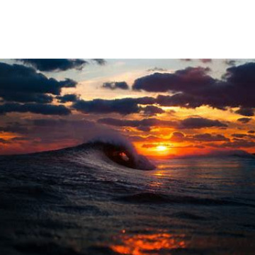 Notice Gallery for Lachlan DONALDSON