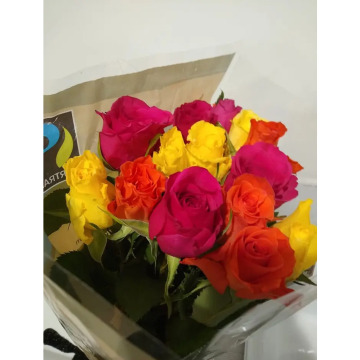 Photo for notice Anne GAULT MCDONALD