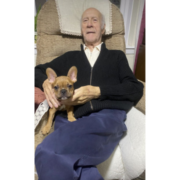 Notice Gallery for Leonard Frank ARCH