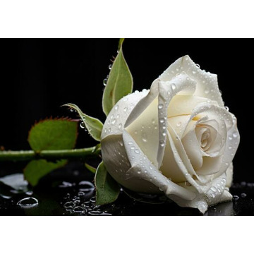 Photo of James (Jimmy) ANDREWS