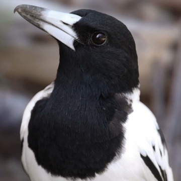 Photo for notice Jamie DUNNE