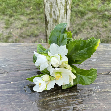 Photo for notice Richard David WHITAKER