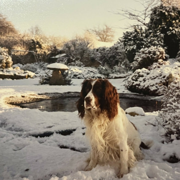 Photo for notice Margaret Joy BIRD