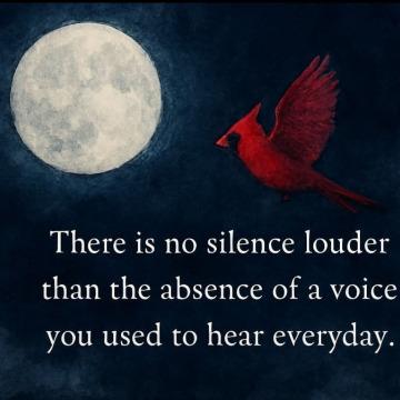 Photo for notice Patricia Sarah DOYLE