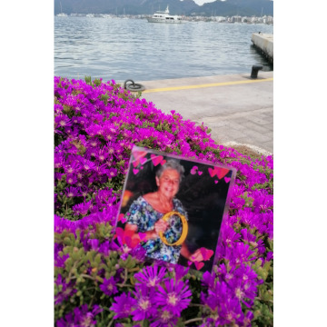 Photo for notice Patricia Sarah DOYLE