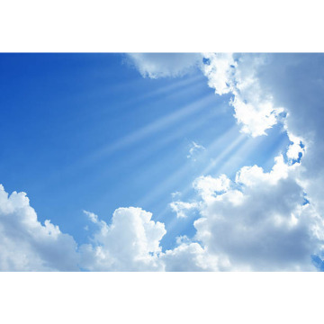 Notice Gallery for Brian Reginald GRIFFIN