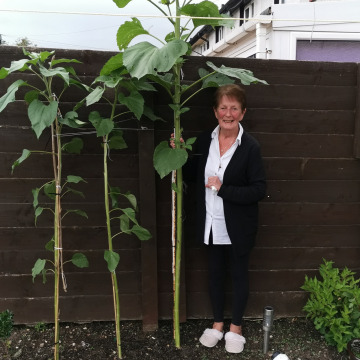 Photo for notice Mary (Mari) ANDERSON