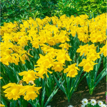 Photo for notice Christina CHAPMAN