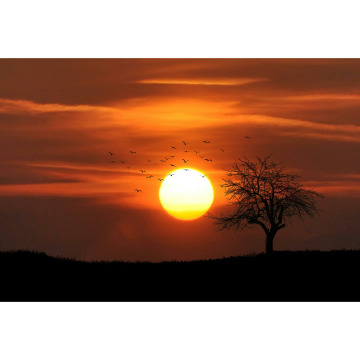 Photo for notice Gwendoline Lilian Olga WOODWARD