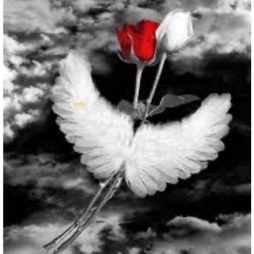 Photo for notice Maurice GOOLD
