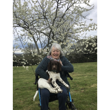 Notice Gallery for Jean Margaret Rose JARVIS