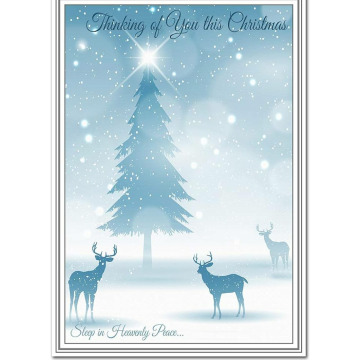 Photo for notice Lina HAGUE