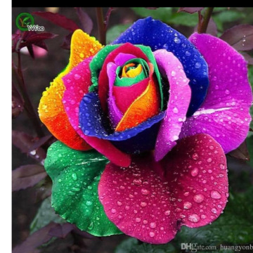 Notice Gallery for Esther FOSTER