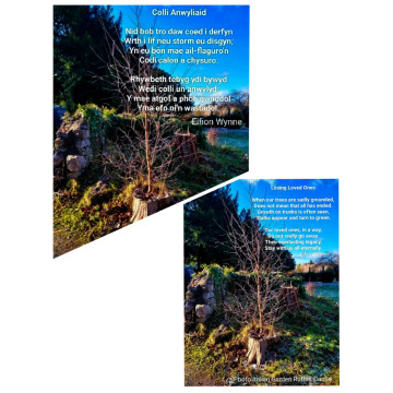 Photo for notice Mair OWEN