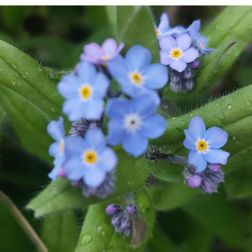 Photo for notice Jean GLOVER