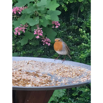 Photo for notice Jean GLOVER