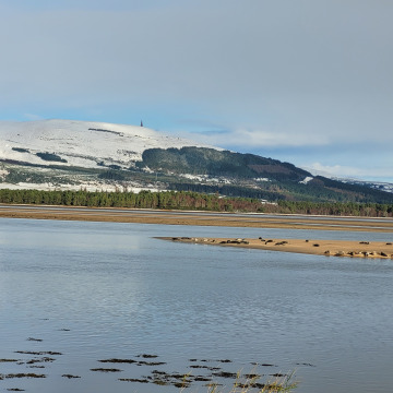 Photo for notice Dave HANNIBAL - (EMBO/DORNOCH)
