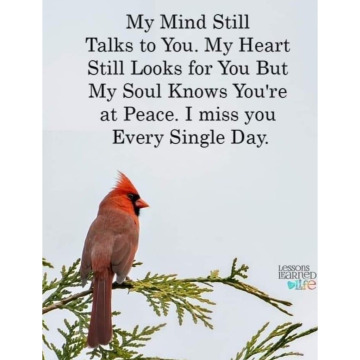 Photo for notice Karon Patricia REYNOLDS