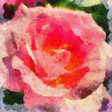 Photo for notice Dennis Thomas MILLWARD