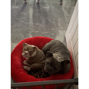 Photo for notice Elizabeth Josephine BROWN