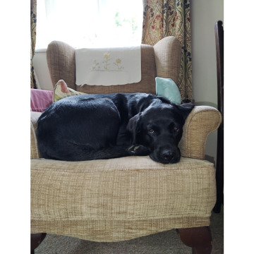 Notice Gallery for Brenda KENT