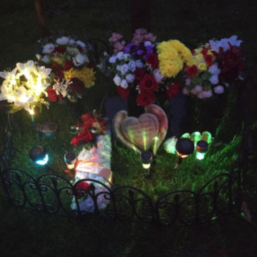 Photo for notice Andrew Sean DOYLE