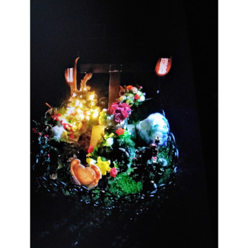 Photo for notice Andrew Sean DOYLE