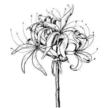 Notice Gallery for Shane Antony KILBEE