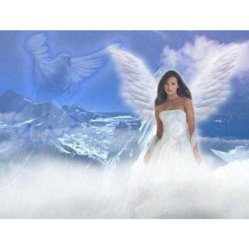 Photo for notice Melanie Dawn WELLS