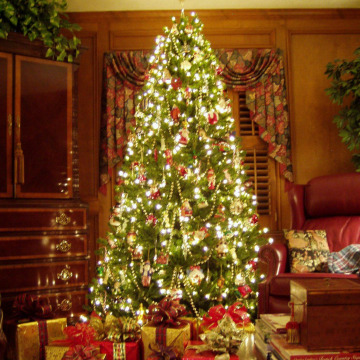 Photo for notice Valerie O'DELL