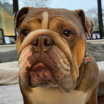 Photo for notice Andrew MALYON