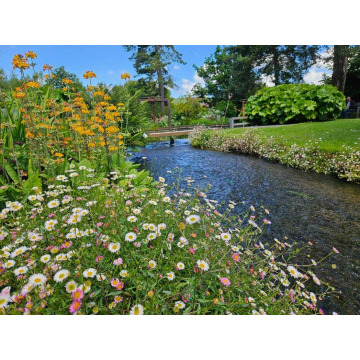 Photo of Derek Walter STEVENS