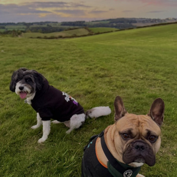 Photo for notice Steven CATLIN