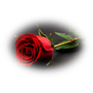 Notice Gallery for Caroline BLACKSTOCK