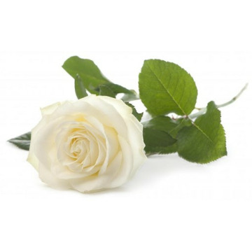 Photo for notice Maureen RICHARDS