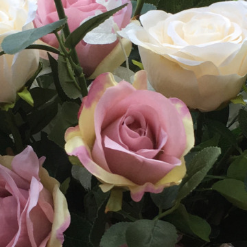 Photo for notice Nora KELLY