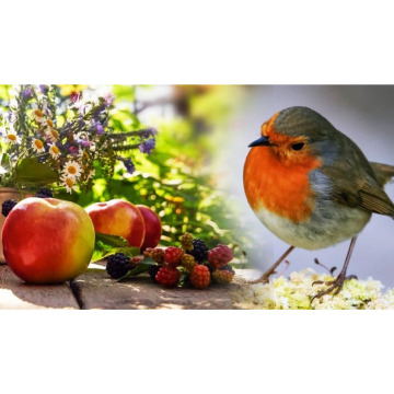 Photo for notice June QUAIL