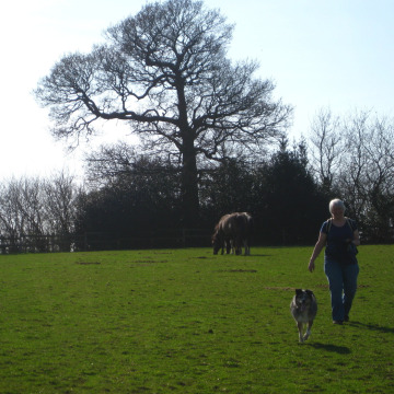 Photo of Brenda MCCREADY