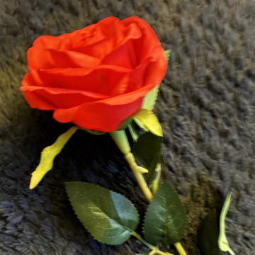 Photo for notice Sandra SCALES