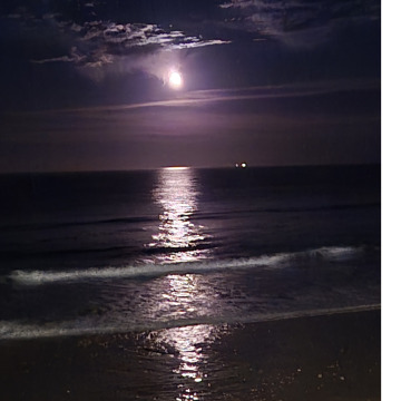 Photo for notice Craig  Andrew REGAN