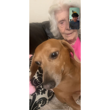 Photo for notice Clara KENDALL