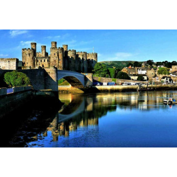 Photo of Brian ROLANDS