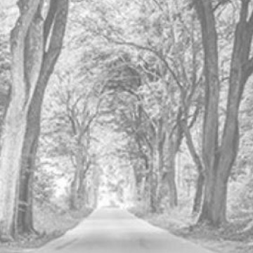 Photo for notice Mary FRYER