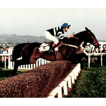 Photo of Jenny LITSTON