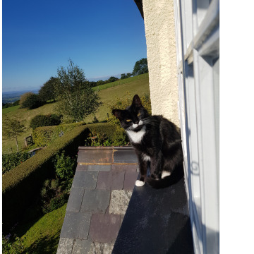 Photo for notice Barbara Joan ROBERTSON