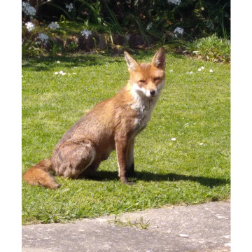 Photo for notice Valerie MURPHY