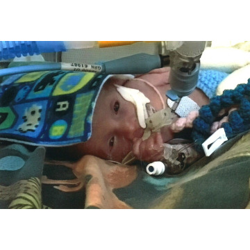 Photo of Euan MACLEOD - MUIR OF ORD