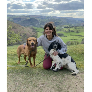 Photo for notice Kaz DAVIES