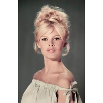 Photo for notice Brigitte Bardot